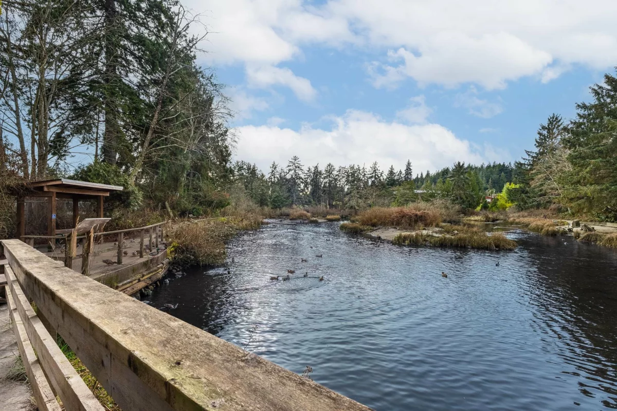 Swimming Pool Photo of 35 5761 Wharf Avenue, Sechelt, BC