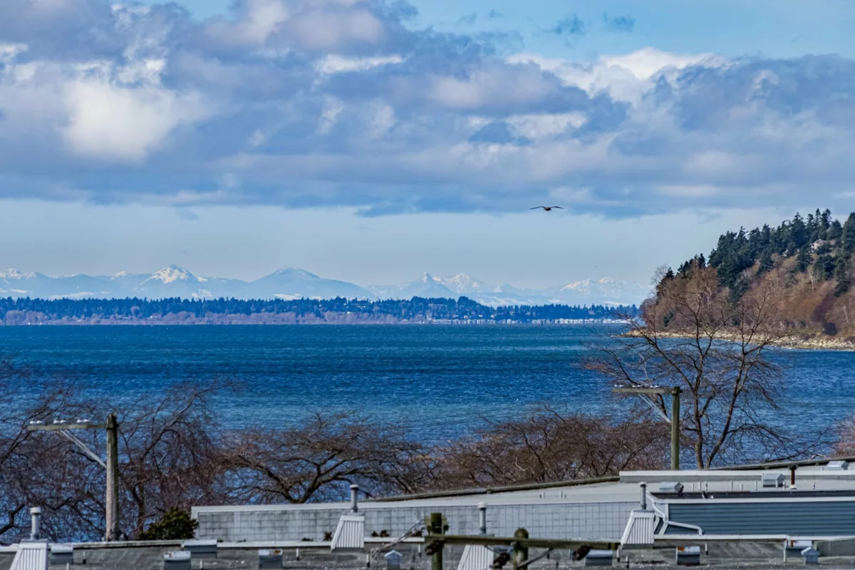 Community Amenities Photo (Clubhouse) of 2 14985 Victoria Avenue, White Rock, BC