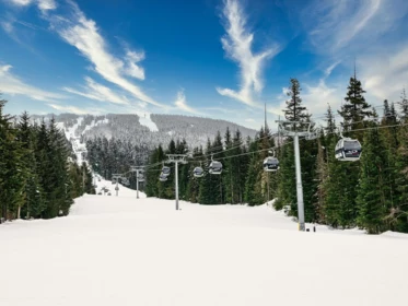 Guest Bathroom Photo of 212 4800 Spearhead Drive, Whistler, BC