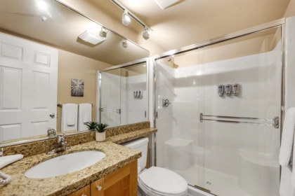 Primary Bathroom Photo of 212 4800 Spearhead Drive, Whistler, BC