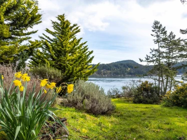 Hot Tub / Spa Photo of 379 Mary Ann Point Road, Galiano Island, BC