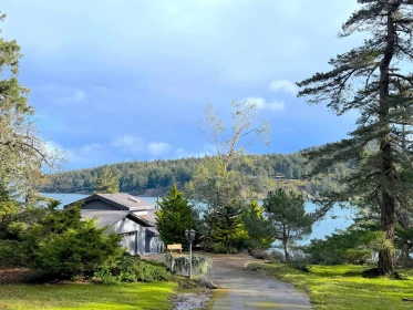 Kitchen Photo of 379 Mary Ann Point Road, Galiano Island, BC