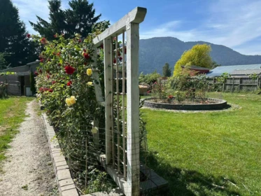 Backyard Photo of 5007 Boundary Road, Abbotsford, BC