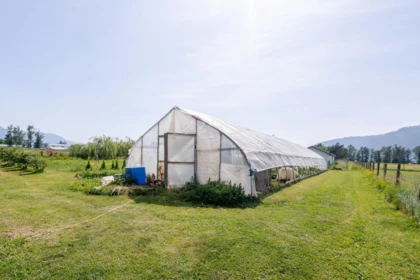 Front Yard Photo of 5007 Boundary Road, Abbotsford, BC