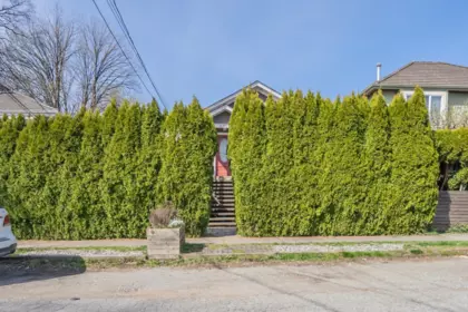 Backyard Photo of 6085 Quebec Street, Vancouver, BC