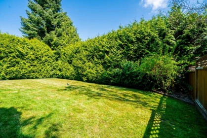 Swimming Pool Photo of 6336 190 Street, Surrey, BC