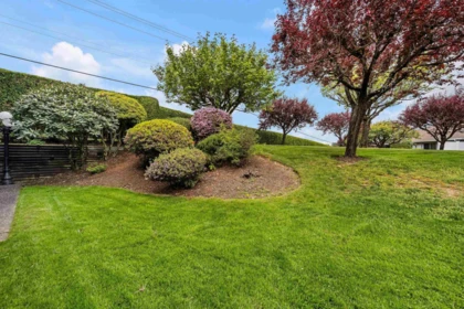 Neighborhood Park Photo Near 1 2988 Horn Street, Abbotsford, BC