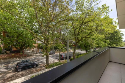 Backyard Photo of 2 5061 Blenheim Street, Vancouver, BC