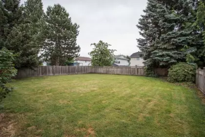 Backyard Photo of 20118 Ospring Street, Maple Ridge, BC