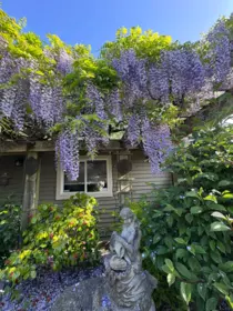Outdoor Patio Photo of 326 E 12th Street, North Vancouver, BC