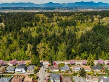 14206 20 Avenue, Surrey, BC, Surrey — Single Family Residence for sale