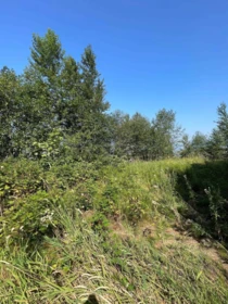 47168 Sylvan Drive, Chilliwack, BC, Chilliwack — Land for sale