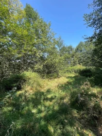 47168 Sylvan Drive, Chilliwack, BC, Chilliwack — Land for sale