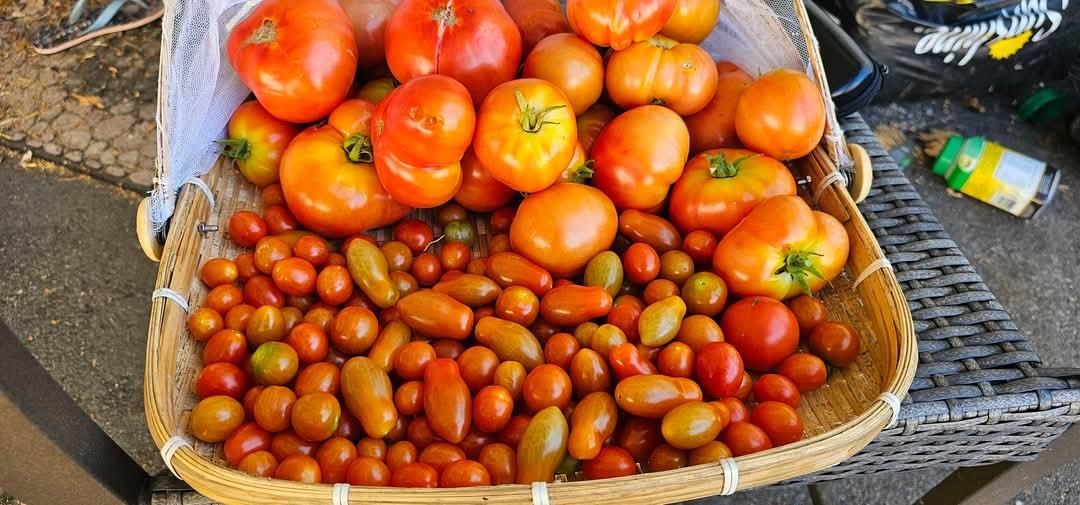 Community Amenities Photo (Clubhouse) of 58 8220 King George Boulevard, Surrey, BC