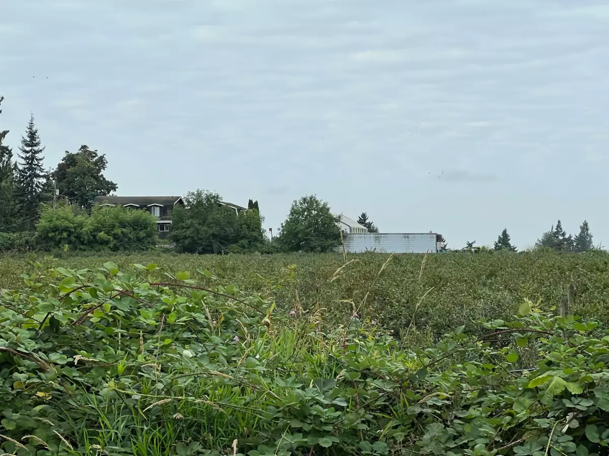 Dining Area Photo of 6863 Bradner Road, Abbotsford, BC
