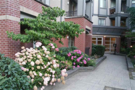 402 10455 University Drive, Surrey, BC