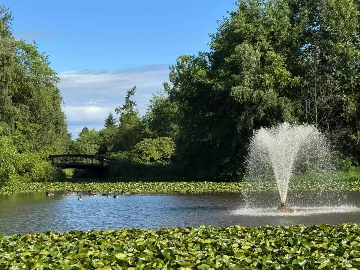 Aerial View of 1301 9188 Cook Road, Richmond, BC