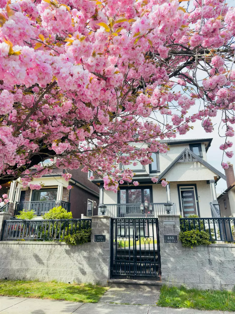 Backyard Photo of 455 E 60th Avenue, Vancouver, BC