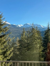Neighborhood Park Photo Near 9331 Emerald Drive, Whistler, BC