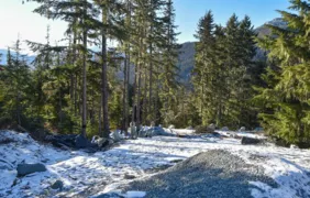 9325 Warbler Way, Whistler, BC