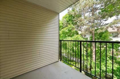 Basement Recreation Room Photo of 311 2401 Hawthorne Avenue, Port Coquitlam, BC