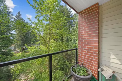 Powder Room Photo of 327 2233 Mckenzie Road, Abbotsford, BC