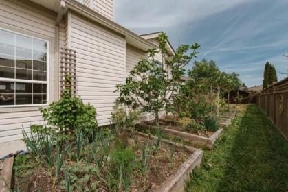 Front Yard Photo of 5656 Cook Place, Sechelt, BC