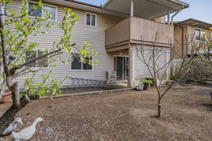 Backyard Photo of 1304 Hornby Street, Coquitlam, BC