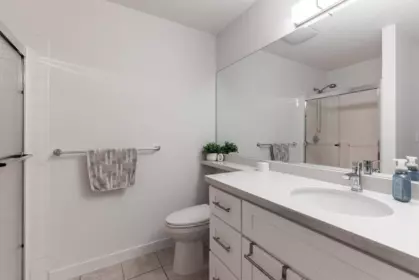 Basement Recreation Room Photo of 94 1055 Riverwood Gate, Port Coquitlam, BC