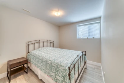Aerial View of 3507 Bishop Place, Coquitlam, BC