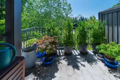 Office / Den Photo of 7 3138 Dayanee Springs Boulevard, Coquitlam, BC