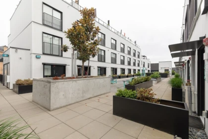 Garden / Landscaping Photo of 321 1120 E Georgia Street, Vancouver, BC