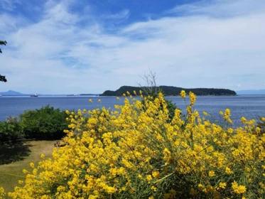 Breakfast Nook Photo of 495 Deacon Lane, Galiano Island, BC