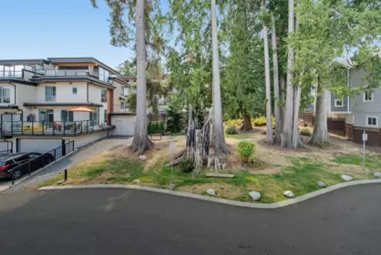 Front Yard Photo of 51 15775 Mountain View Drive Drive, Surrey, BC