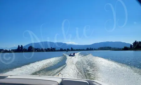 75 8400 Shook Road, Mission, BC, Mission — Land for sale