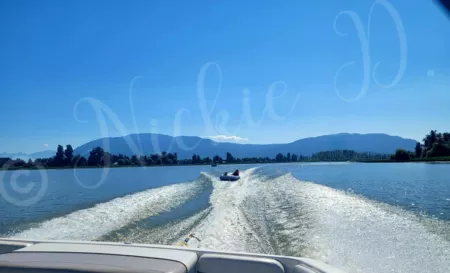 75 8400 Shook Road, Mission, BC, Mission — Land for sale
