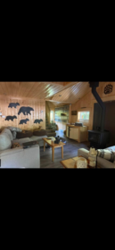 Basement Recreation Room Photo of B9 65443 Emory Creek Road, Hope, BC