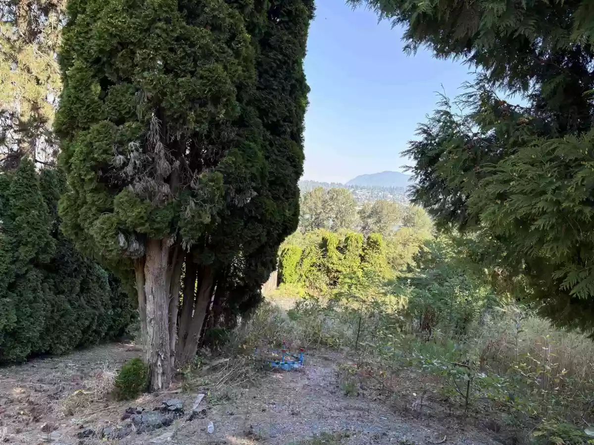 Exterior Rear Photo of 13993 116 Avenue, Surrey, BC