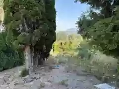 13993 116 Avenue, Surrey, BC