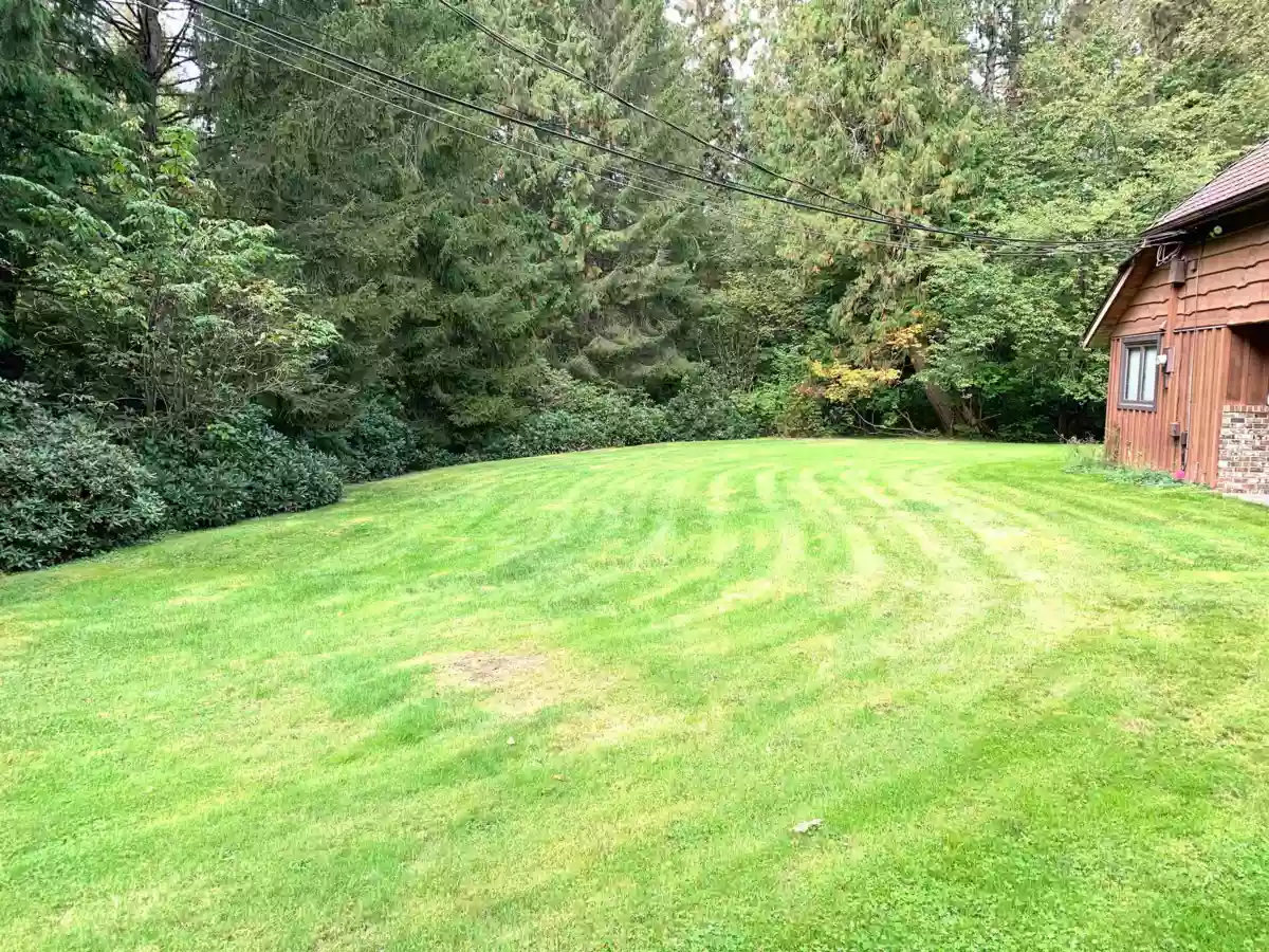 Kitchen Photo of 29933 Anderson Avenue, Mission, BC