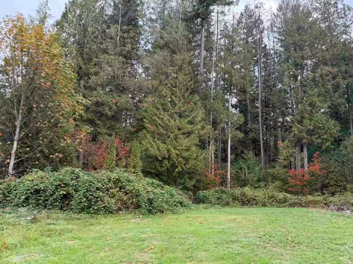 Dining Area Photo of 30727 Keystone Avenue, Mission, BC
