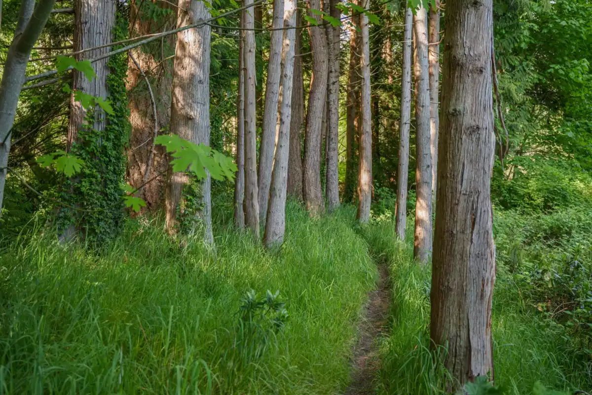 Hot Tub / Spa Photo of 1 4514 Sunshine Coast Highway, Sechelt, BC