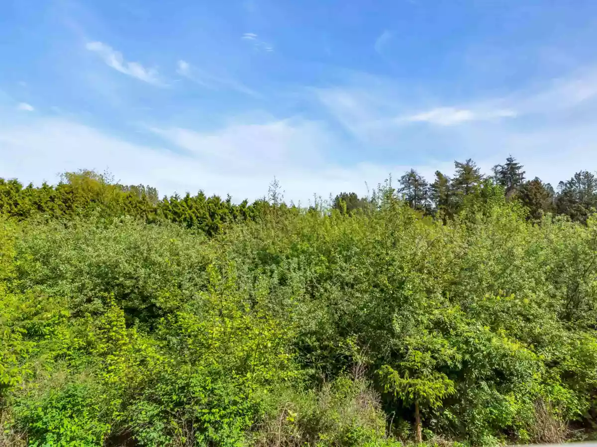 Kitchen Island Photo of 36 4716 Orca Way, Tsawwassen, BC