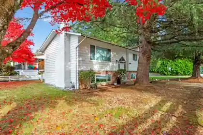 21099 Berry Avenue, Maple Ridge, BC