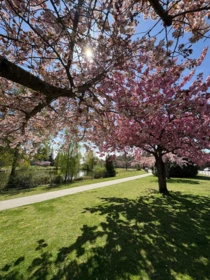 Community Amenities Photo (Clubhouse) of 13 6211 W. Boundary Drive, Surrey, BC
