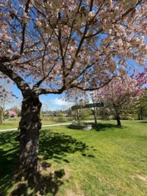 Neighborhood Park Photo Near 13 6211 W. Boundary Drive, Surrey, BC