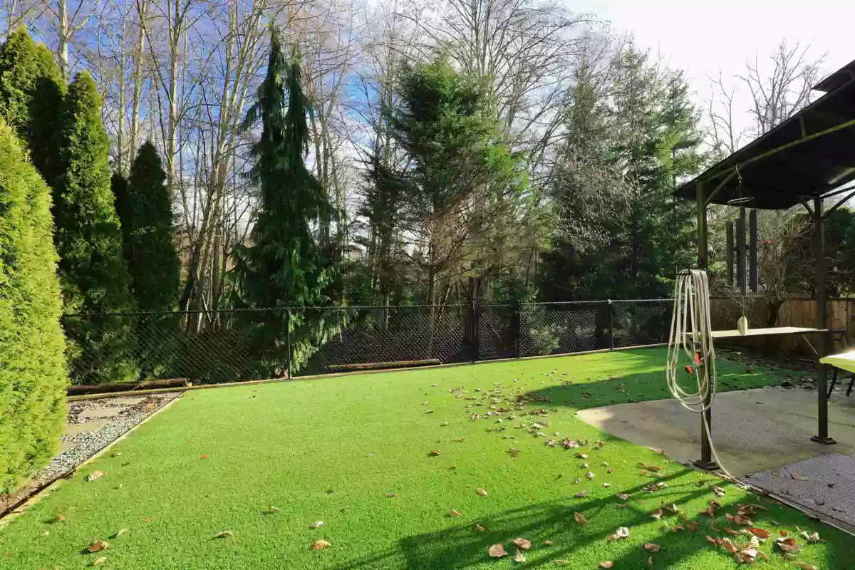 Living Room Photo of 11634 238a Street, Maple Ridge, BC