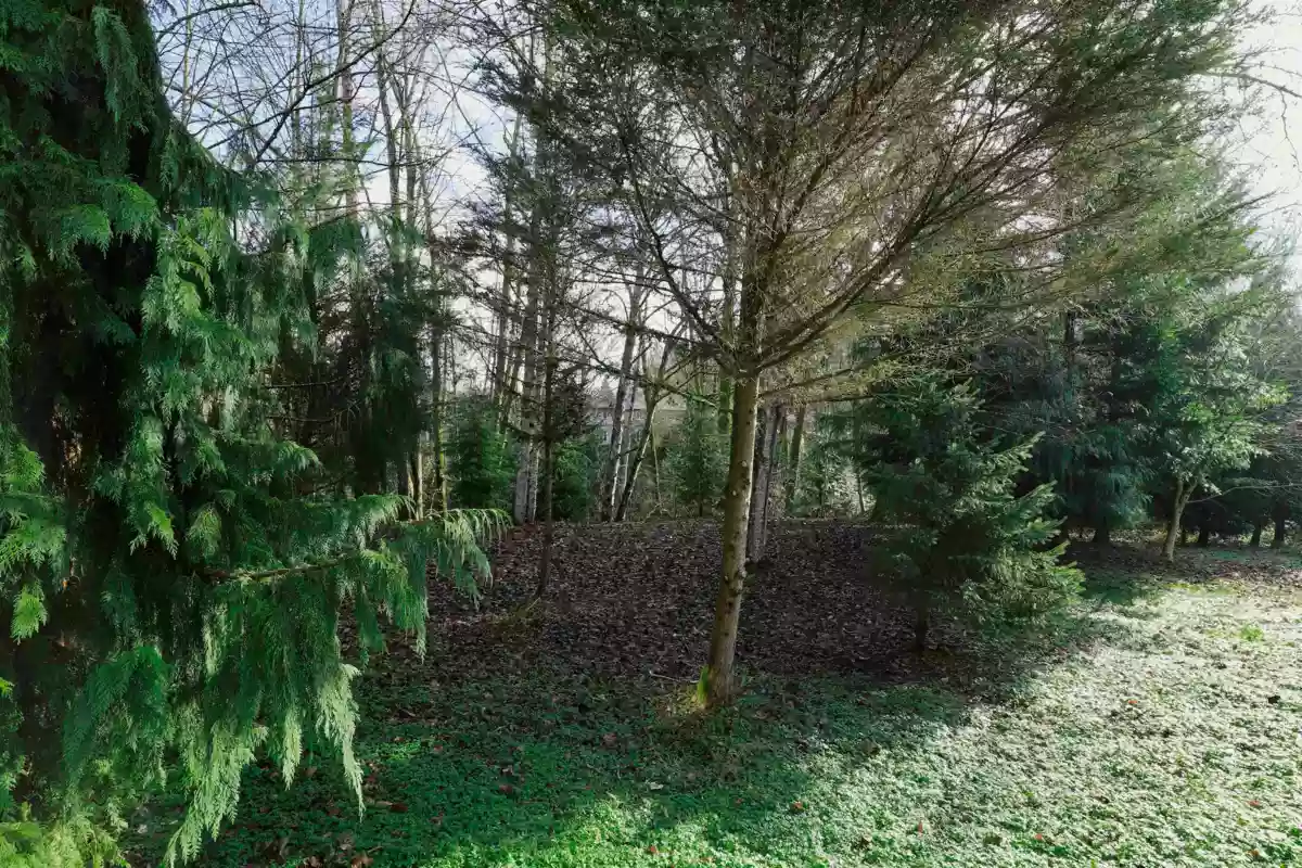 Street View Photo of 11634 238a Street, Maple Ridge, BC