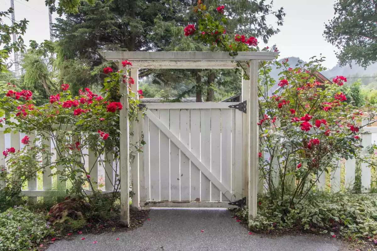 Outdoor Deck Photo of 1155 Judd Road, Squamish, BC