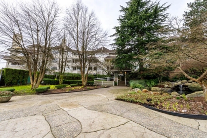 303 3738 Norfolk Street, Burnaby, BC